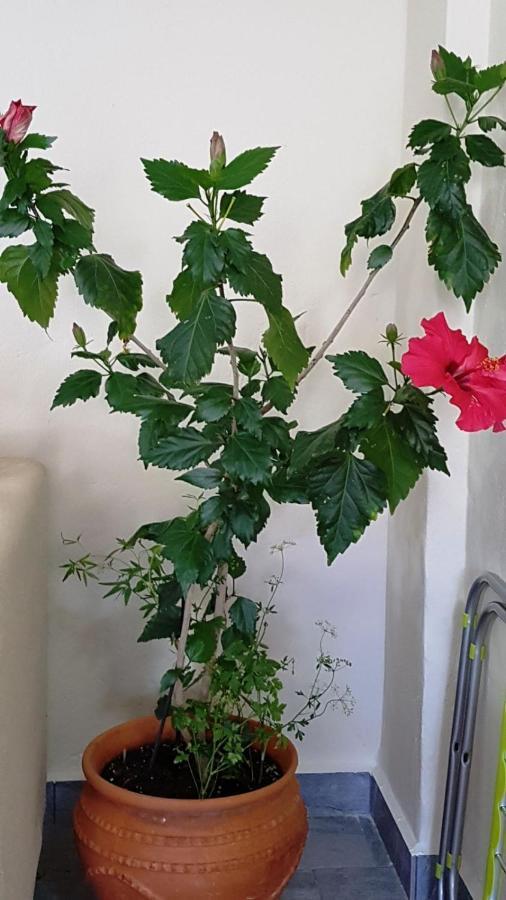 Fyllou Apartment Asproválta Luaran gambar