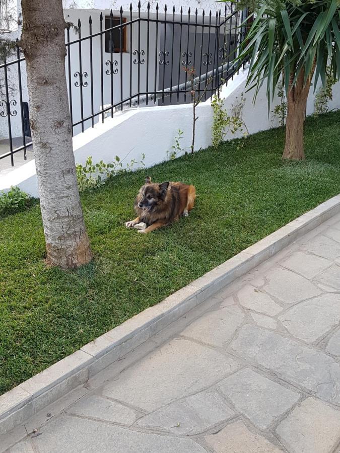 Fyllou Apartment Asproválta Luaran gambar